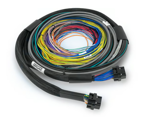Arnés de cableado universal para Haltech Nexus S3/S2 - 2,5 m (8')