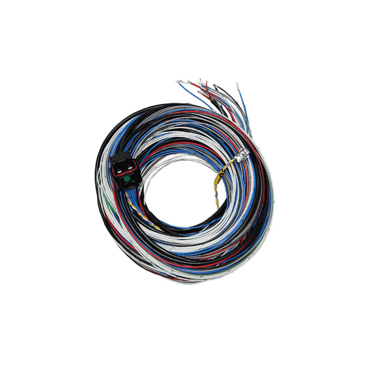 Arnés universal para Fueltech FT450 y FT550 10 pies